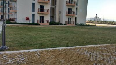 Landscape Garden and Tree Planting privvy-the-address Landscape Garden and Tree Planting