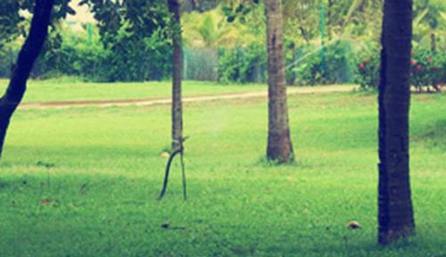 Images for Amenities of Runwal Elegante elegante Images for Amenities of Runwal Elegante