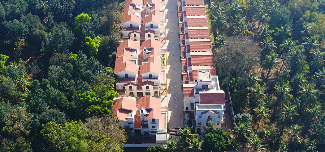 beautiful world Elevation