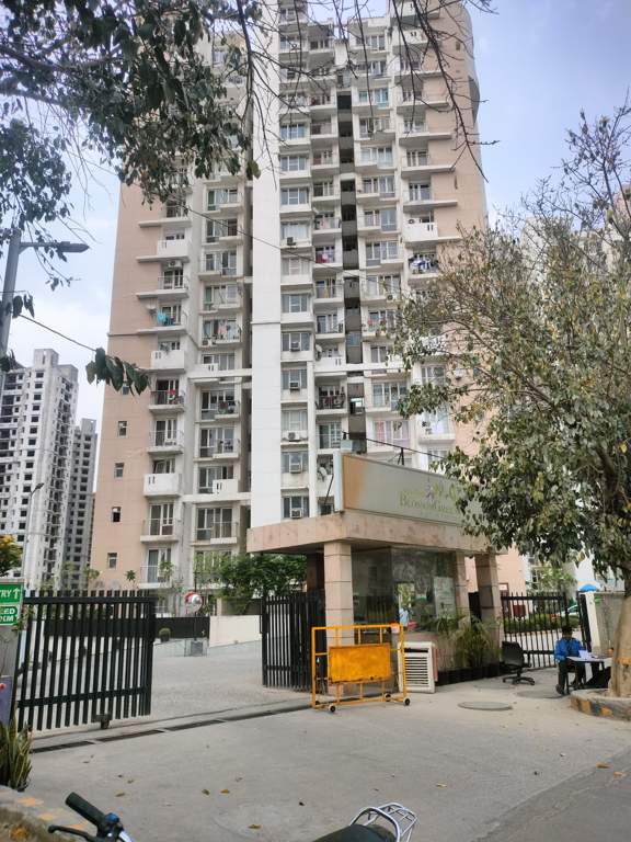  blossom greens Elevation