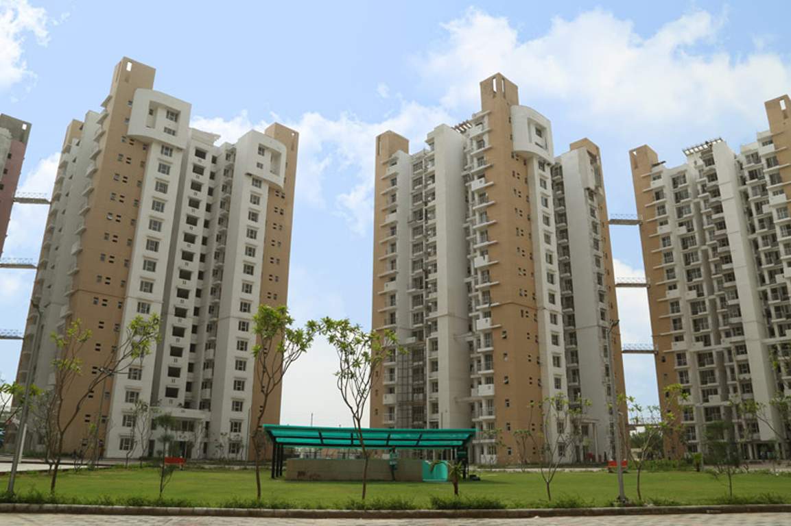  blossom greens Images for Project