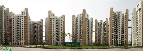  blossom-greens Images for Project