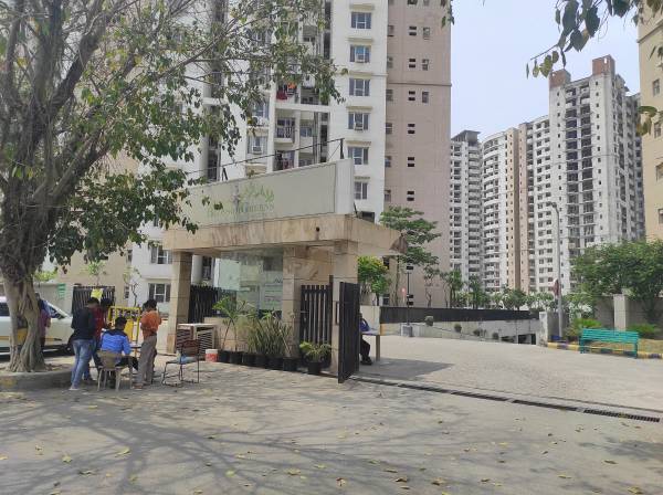  blossom-greens Others