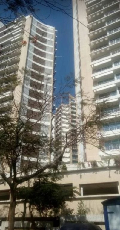  spring grove Elevation