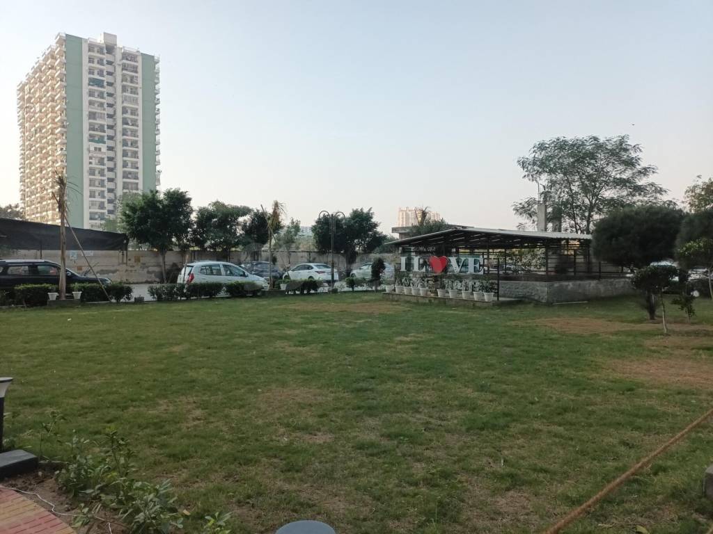 jupiter Landscape Garden and Tree Planting