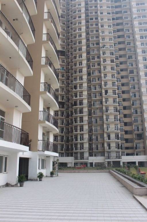 jupiter Paved Compound