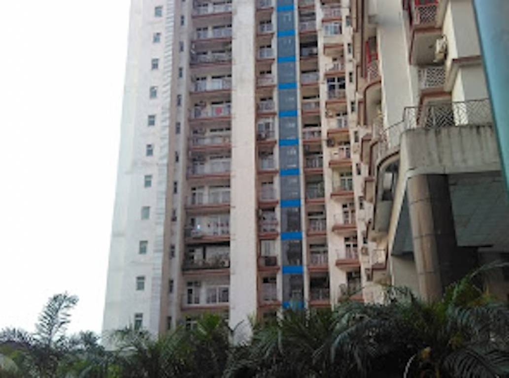 eden park Images for Project