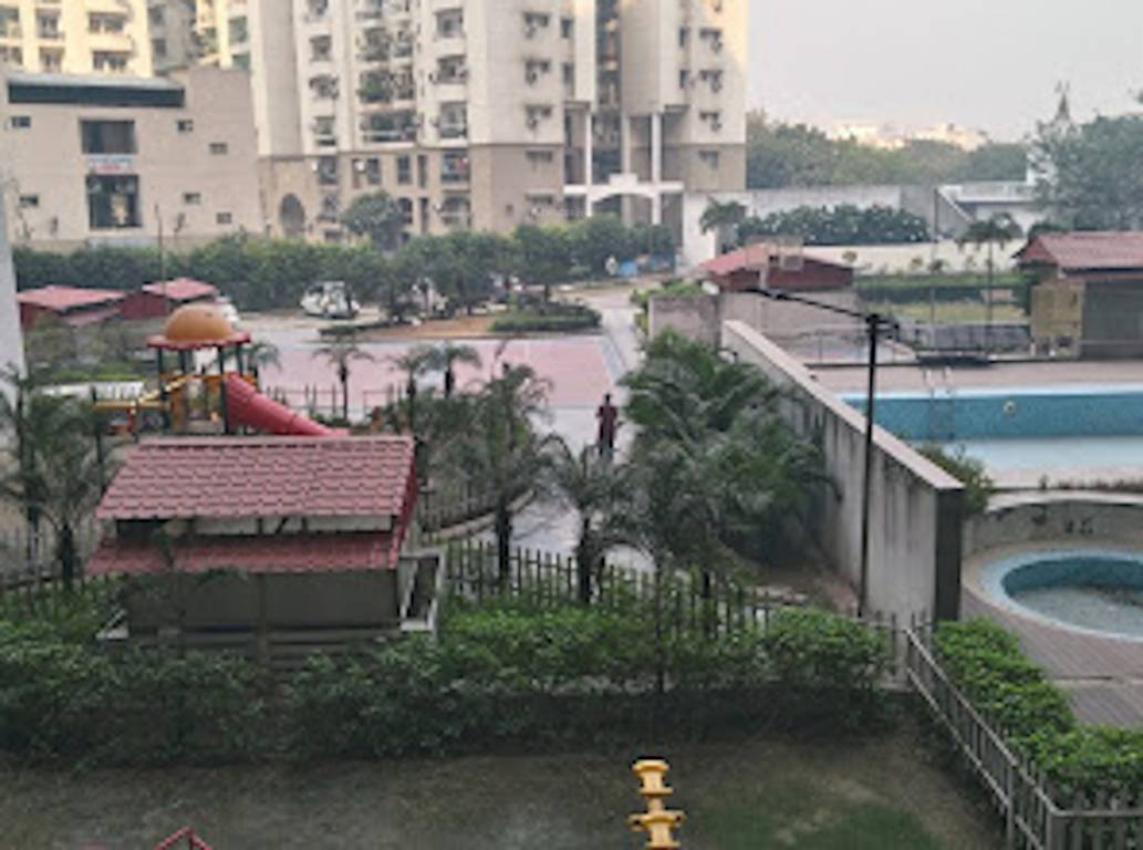 eden park Images for Project