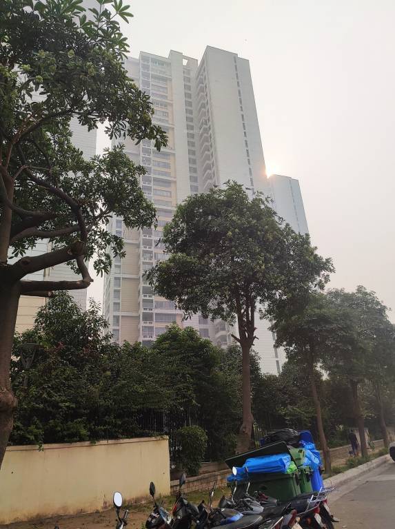 the imperial court Elevation