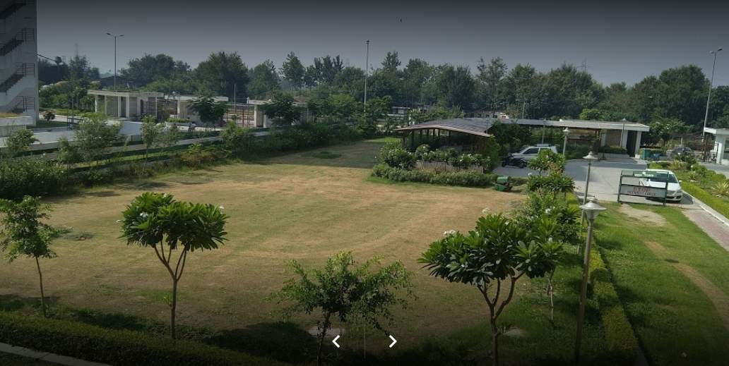  the pavilion court Landscape Garden and Tree Planting