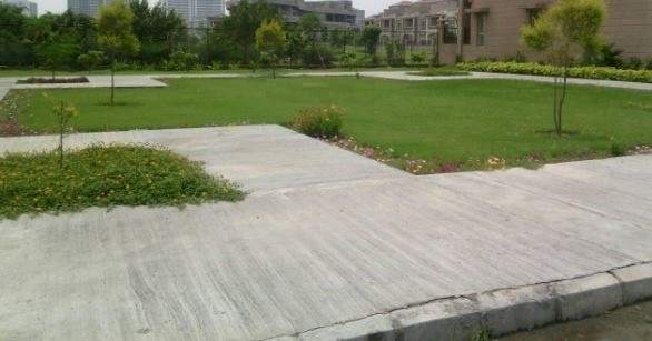 kallisto townhomes Landscape Garden and Tree Planting