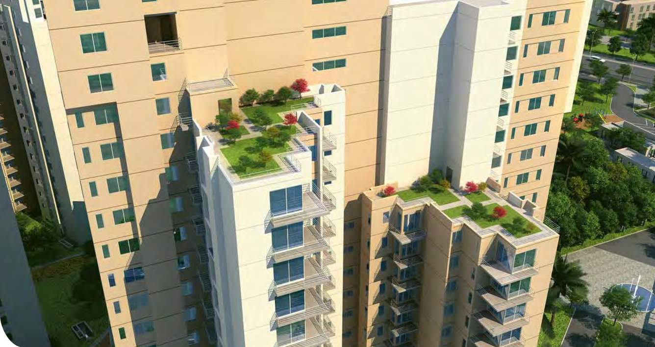  uptown Images for Elevation of Ireo Uptown