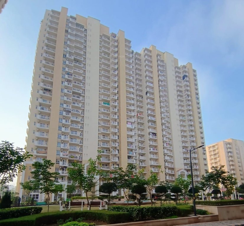  palm hills Elevation