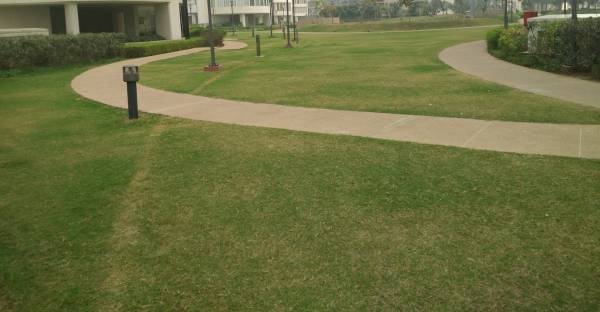 Landscaped Gardens palm-studios Landscaped Gardens