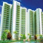  frontier Images for Project