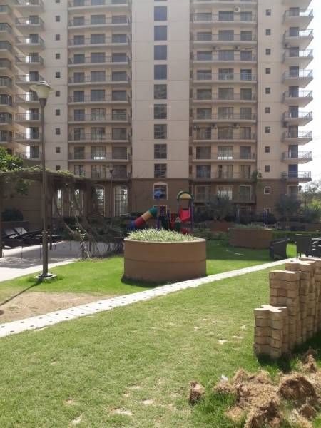  frontier Landscaped Gardens