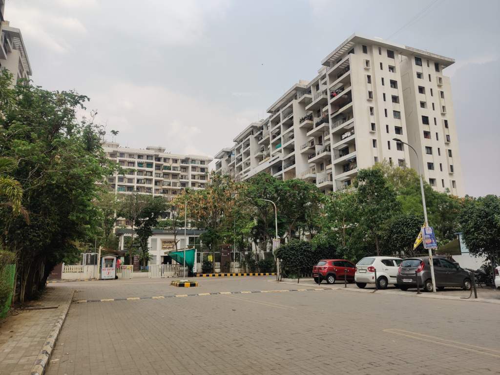  ivy estate Elevation