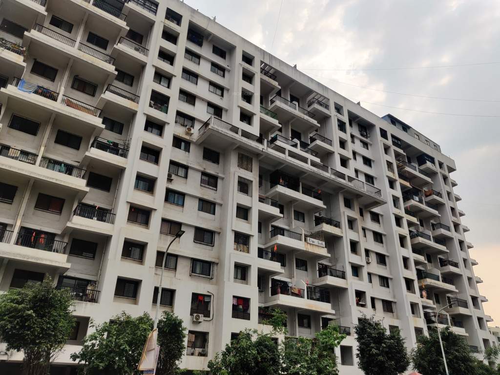  ivy estate Elevation