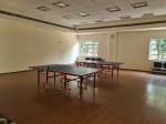 Table Tennis amenities of DLF Garden City