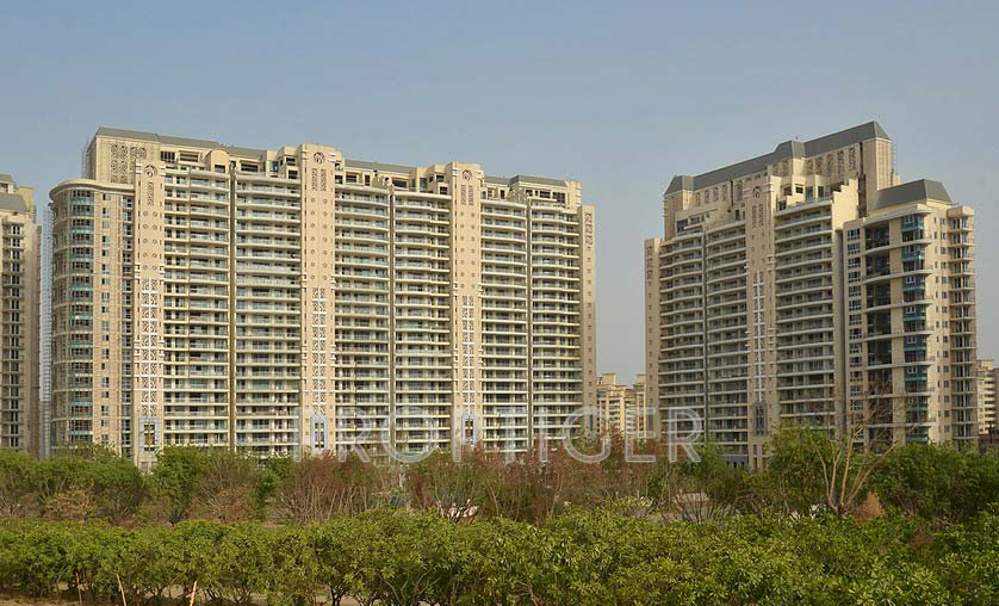 Images for Elevation of DLF Magnolias