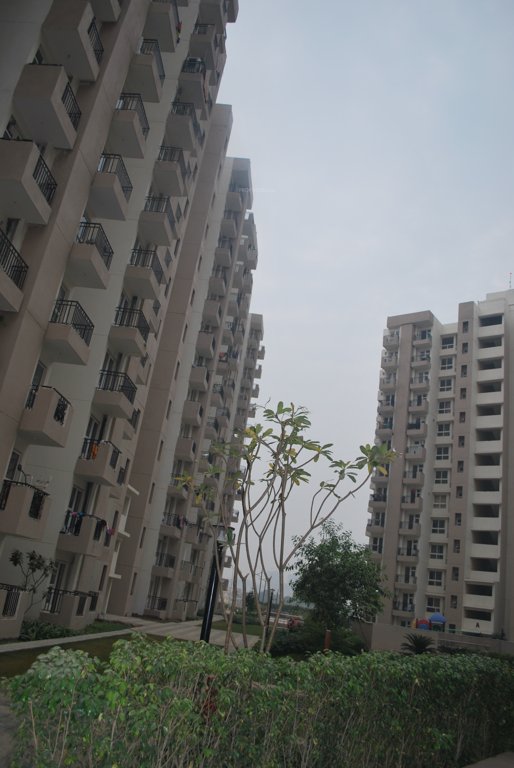 paradise Images for Elevation of Mapsko Paradise