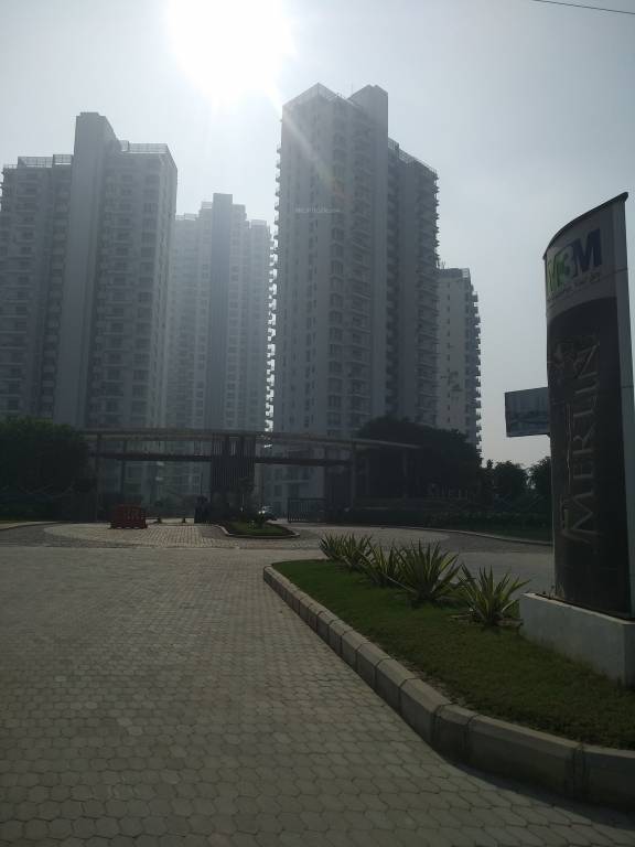 merlin Images for Project