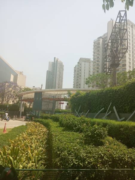  merlin Landscape Garden and Tree Planting