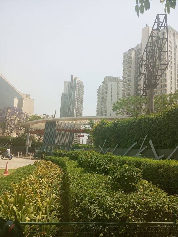 merlin Landscape Garden and Tree Planting