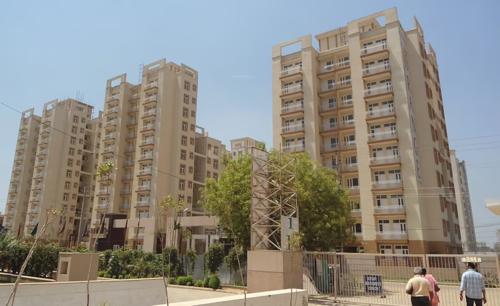 Images for Elevation of Tulip Orange orange Images for Elevation of Tulip Orange