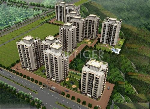  orange Images for Elevation of Tulip Orange