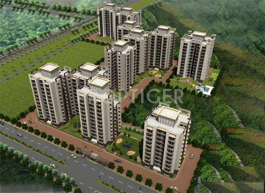  orange Images for Elevation of Tulip Orange