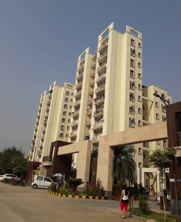  orange Images for Project