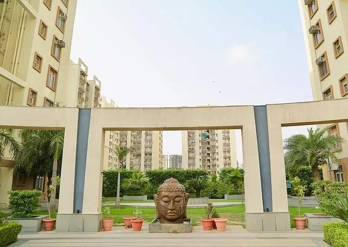  orange Landscape Garden and Tree Planting