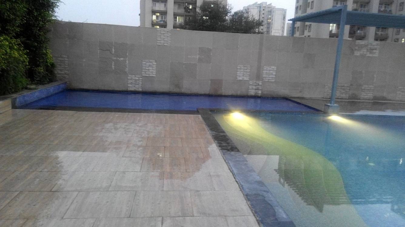  orange Swimming Pool