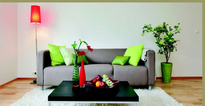  orange Images for mainOther