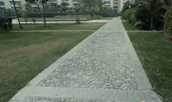 Others amenities of Tulip Violet