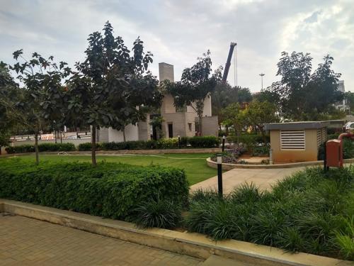  parkview Landscape Garden and Tree Planting