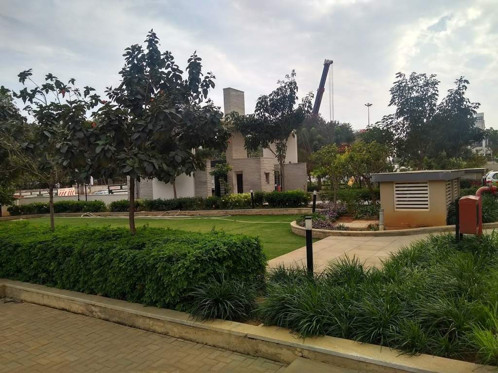  parkview Landscape Garden and Tree Planting