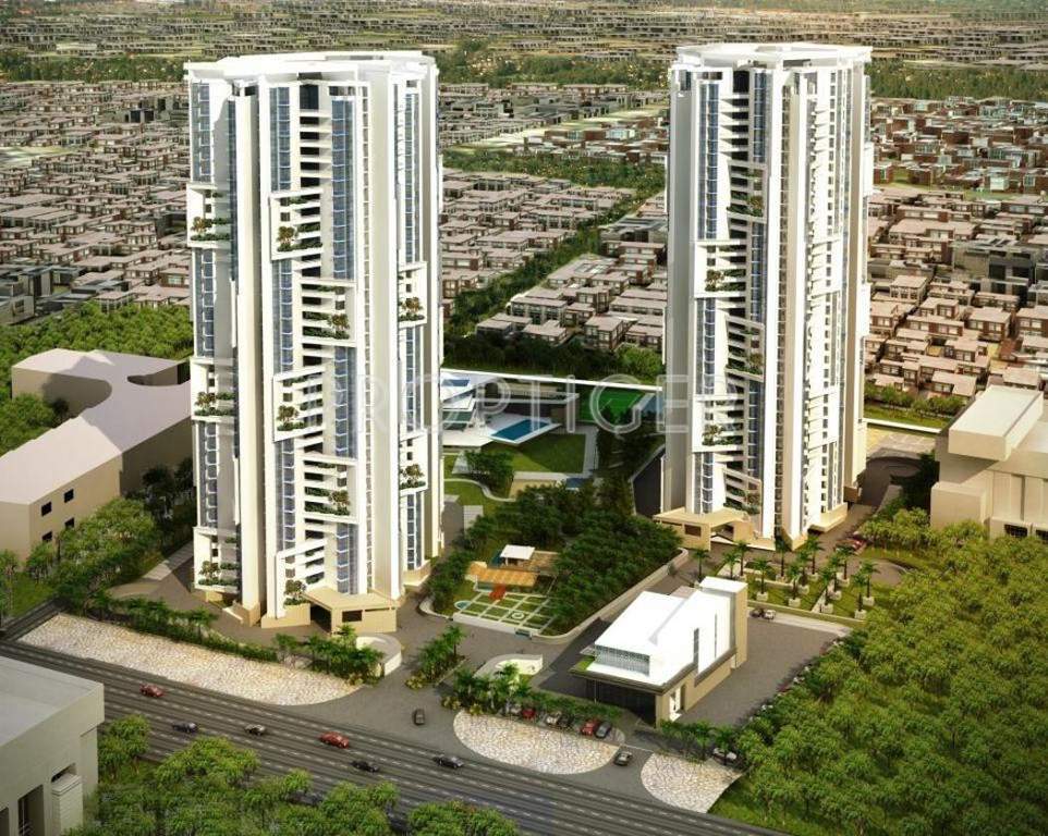  exotica Images for Elevation of Brigade Exotica