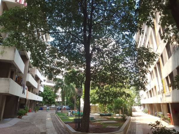 estate Internal Roads & Footpaths