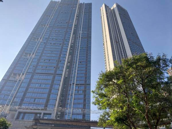 Elevation orchid-crown Elevation