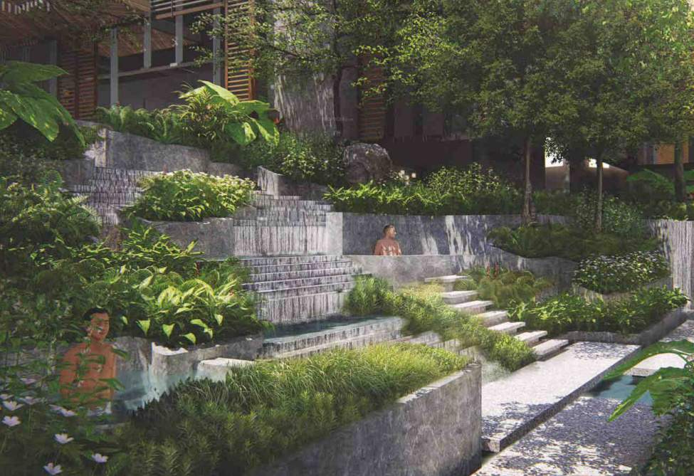 orchid crown Landscape Garden and Tree Planting