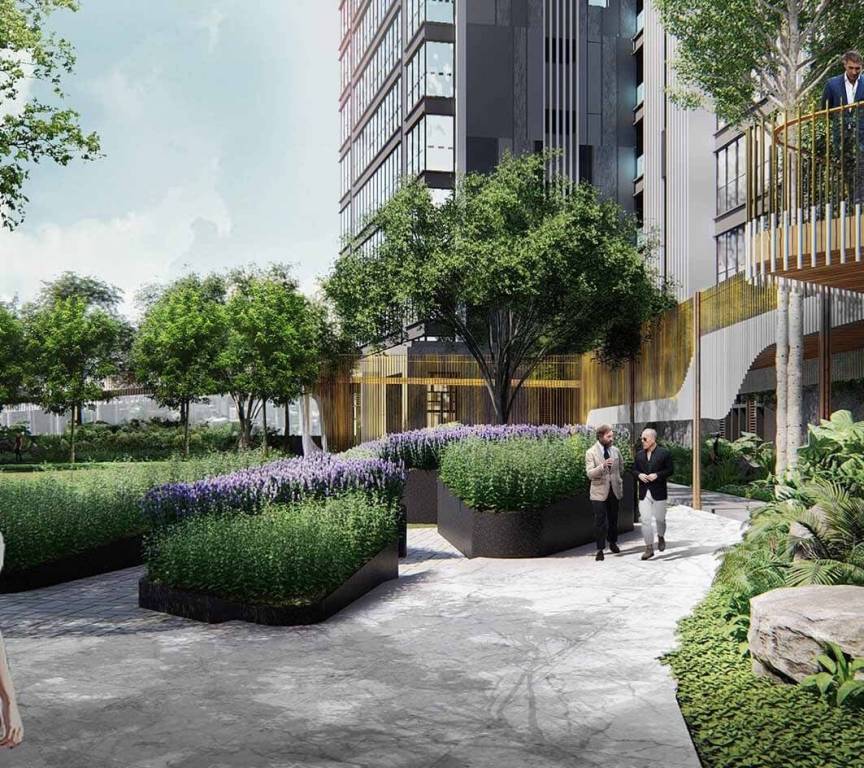 orchid crown Paved Compound