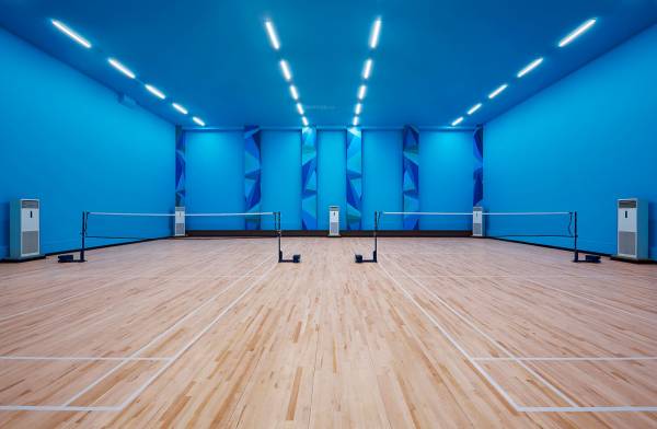 Badminton Court maitri-park Badminton Court