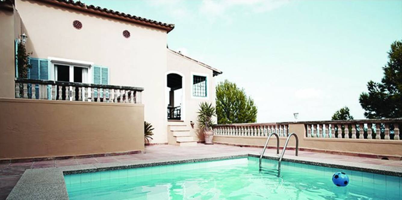 Images for Amenities of Neptune Flying Kite