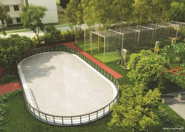 Skating Rink umang-primo Skating Rink