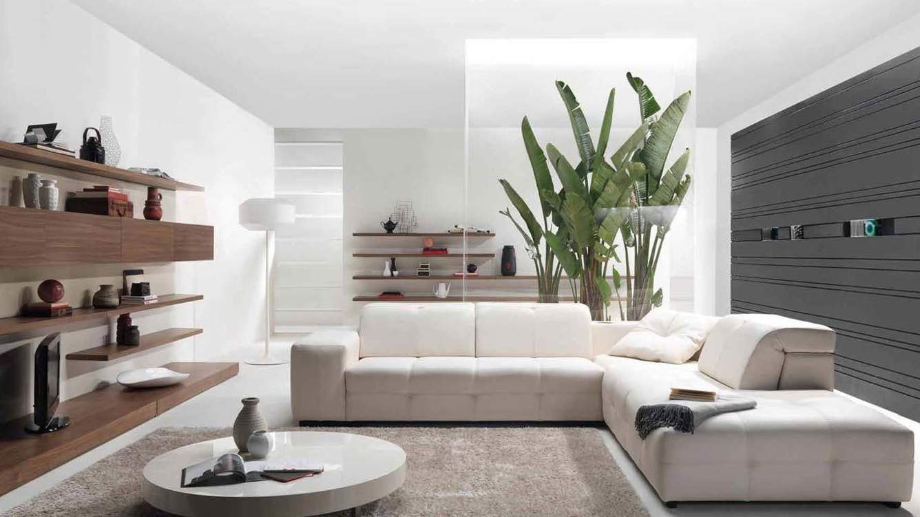  anthurium Images for Main Other of Runwal Anthurium