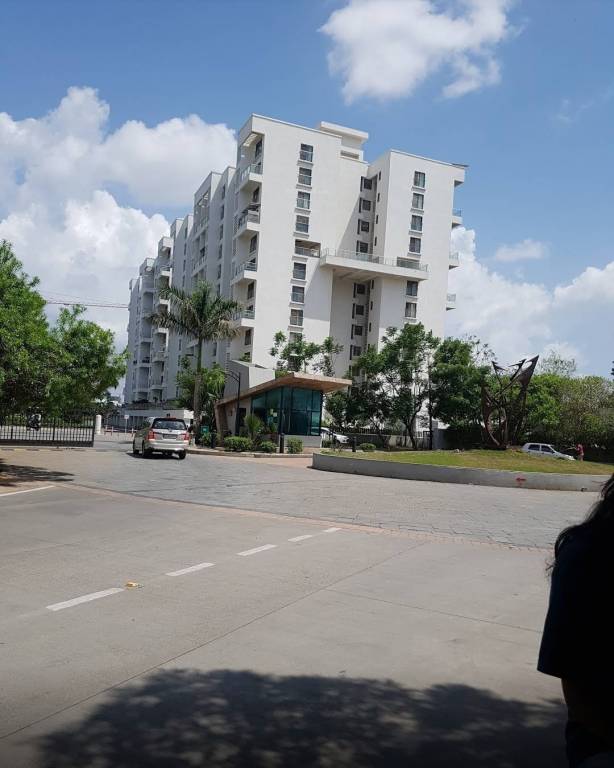 park titanium Elevation