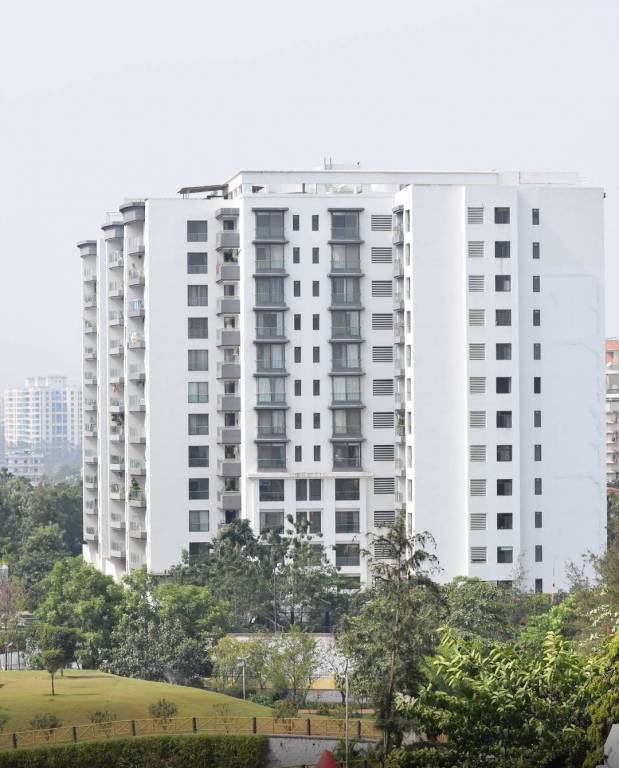 park titanium Elevation