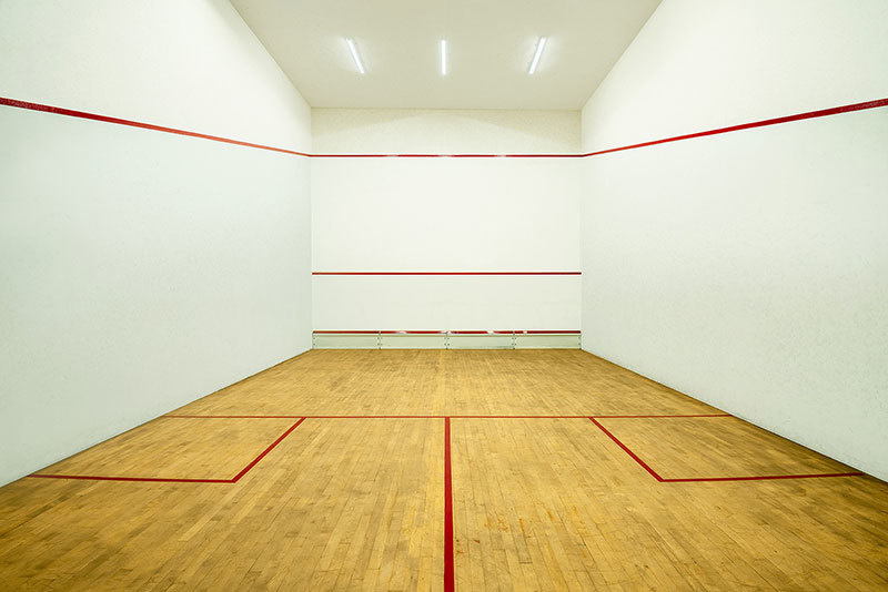 Pride Purple Park Titanium